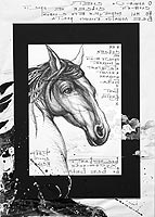 Margarita Siourina. Of a Horse the Sonnet is. 2011